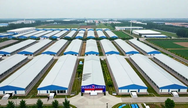 商务代理在年度市场调研中的实际应用分析